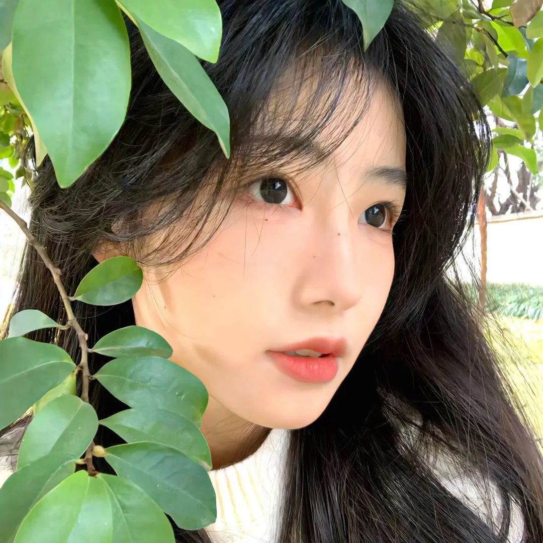 白日之下